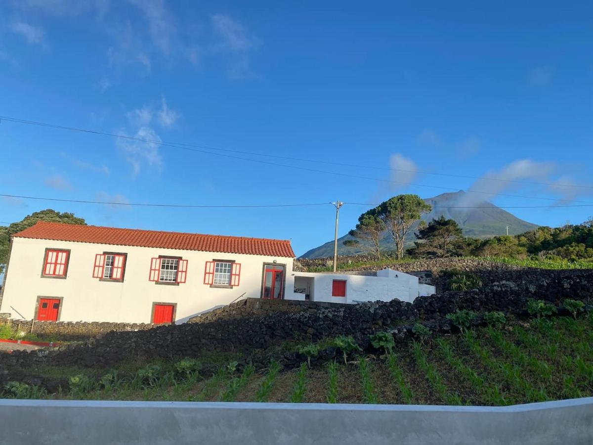 Picocomigo Villa Sao Joao  Exterior foto